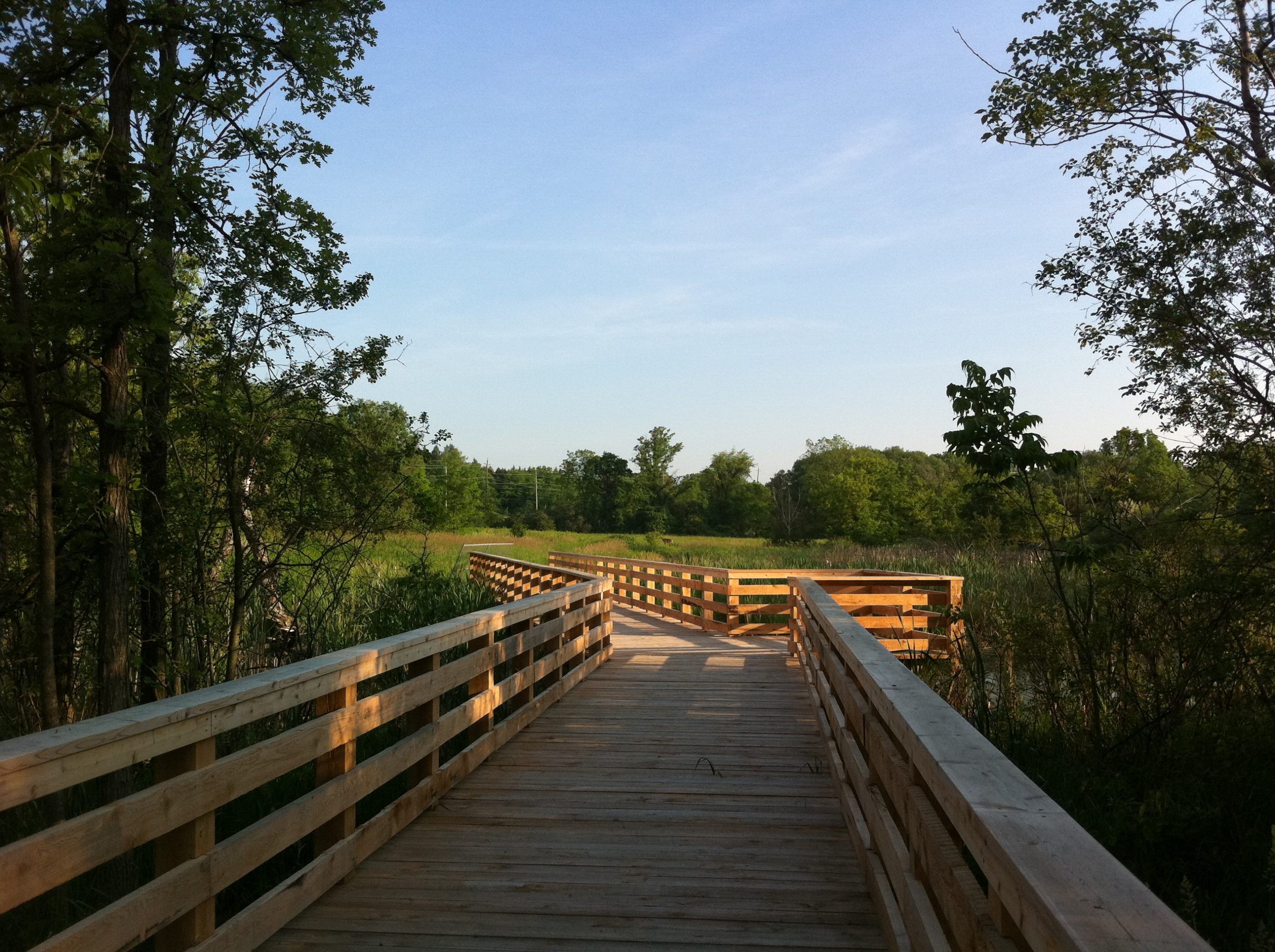 Out and About in Aurora Best Places to Walk Your Dog DocuPet