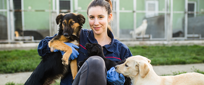 Sheltering Our Most Vulnerable Pets | DocuPet