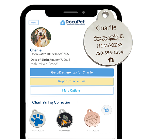 HomeSafe App Pet Tag Lookup